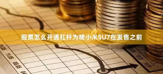 股票怎么开通杠杆为啥小米SU7在发售之前